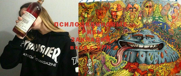 круглые Алексин